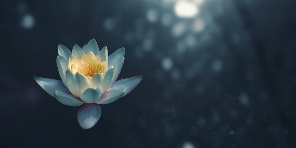 Meditación